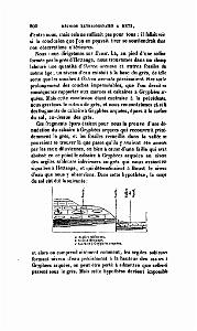 BULLETIN DE LA SOCIETE GEOLOGIQUE DE FRANCE 1852_000649